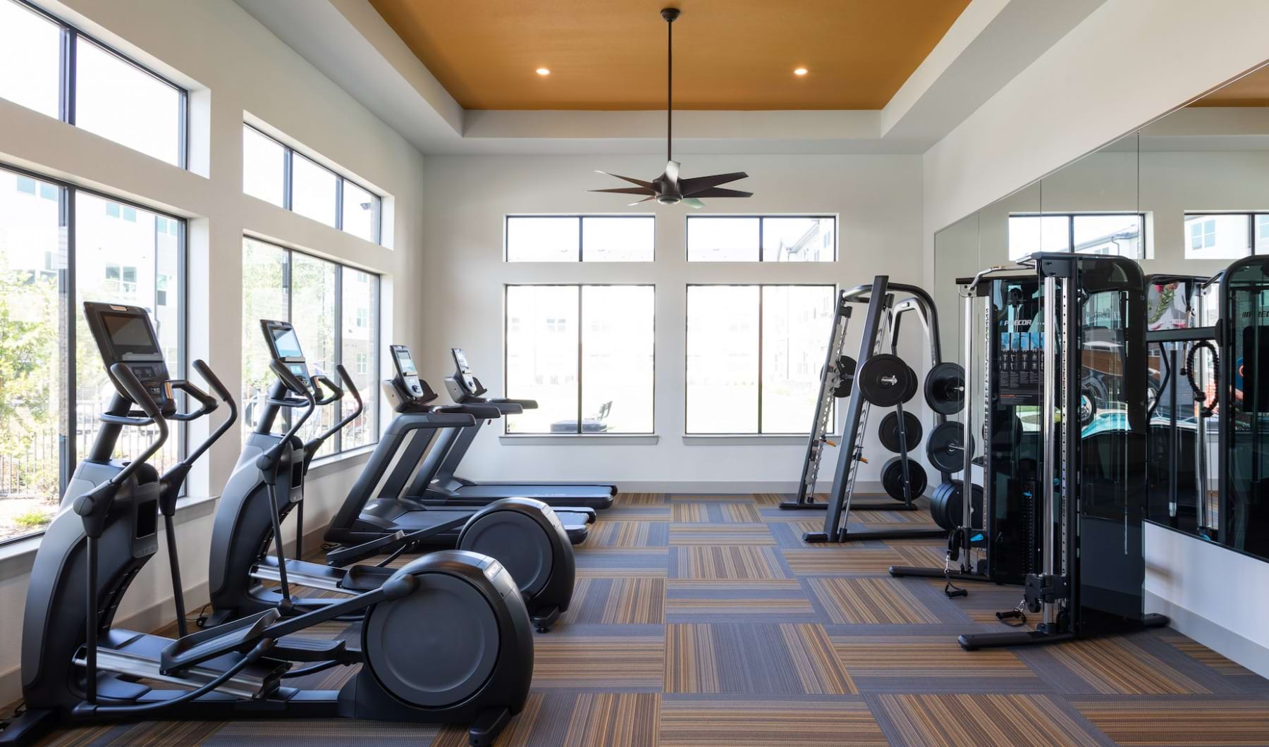 Live Your Story at Prose gym with fitness equipment